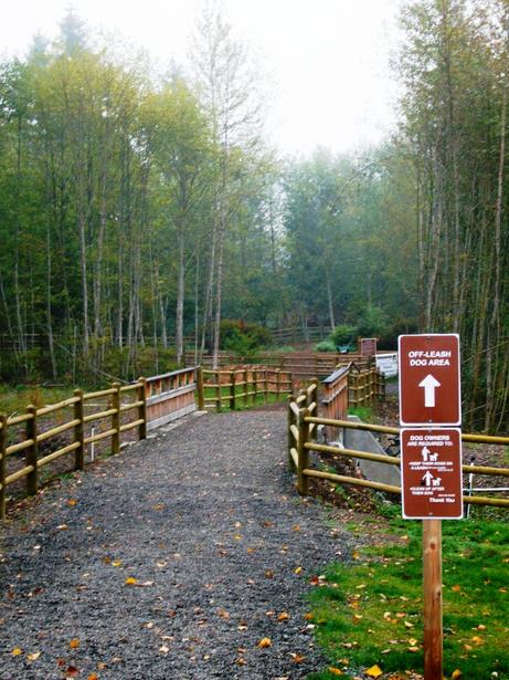 Tanbark Off-Leash Area in Snohomish County. Photo from BringFido.com.